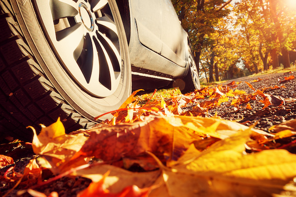 What Kind of Maintenance Does My Car Need in the Fall