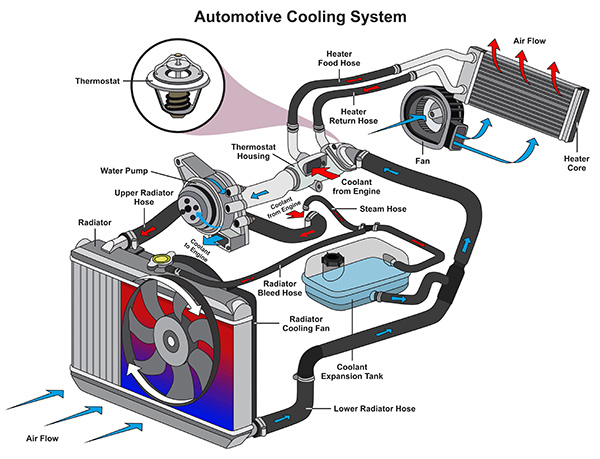 What Is a Coolant Flush Actually Meant to Prevent?